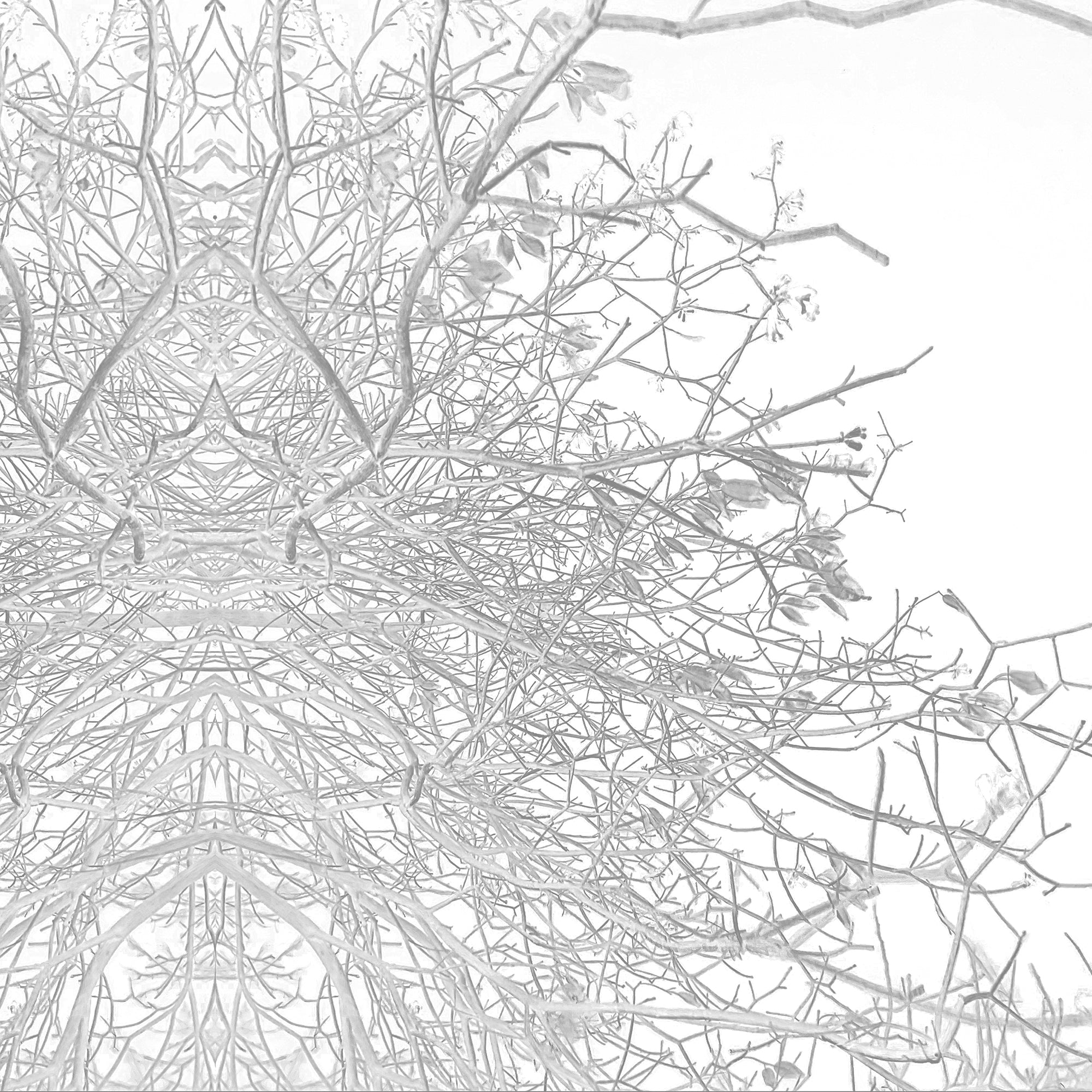 צעדים באוויר_הדפס ממוסגר