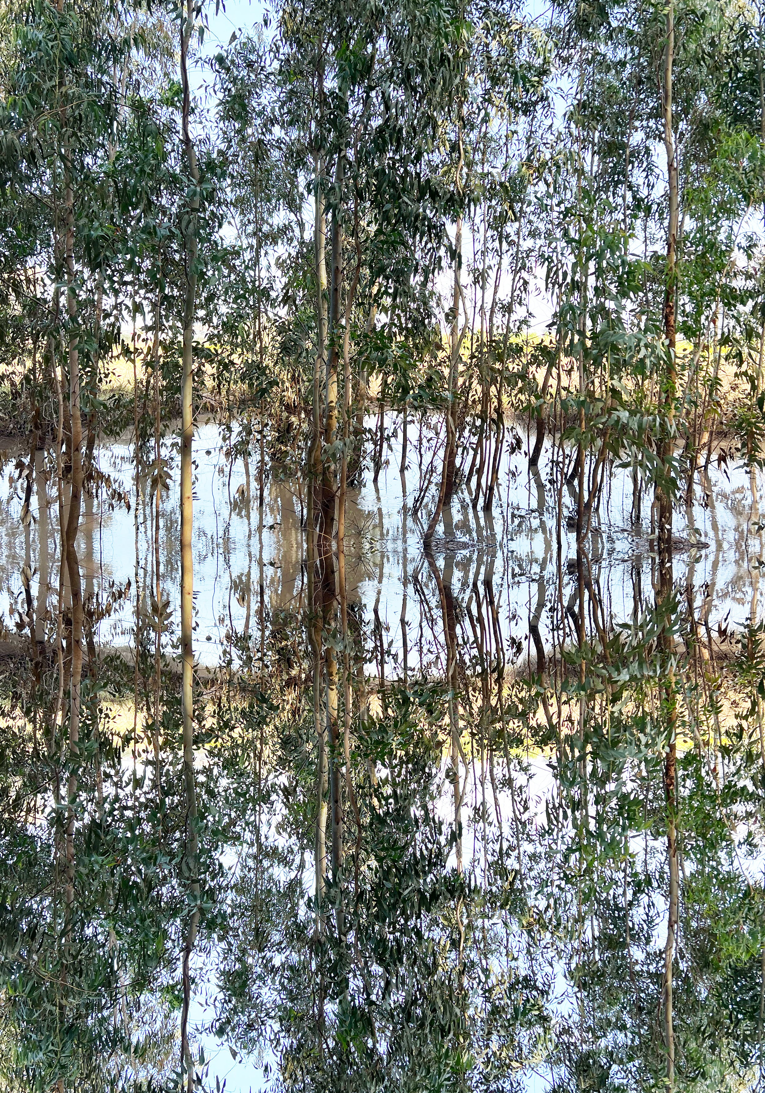 דרזנר - סט הדפסים ממוסגרים