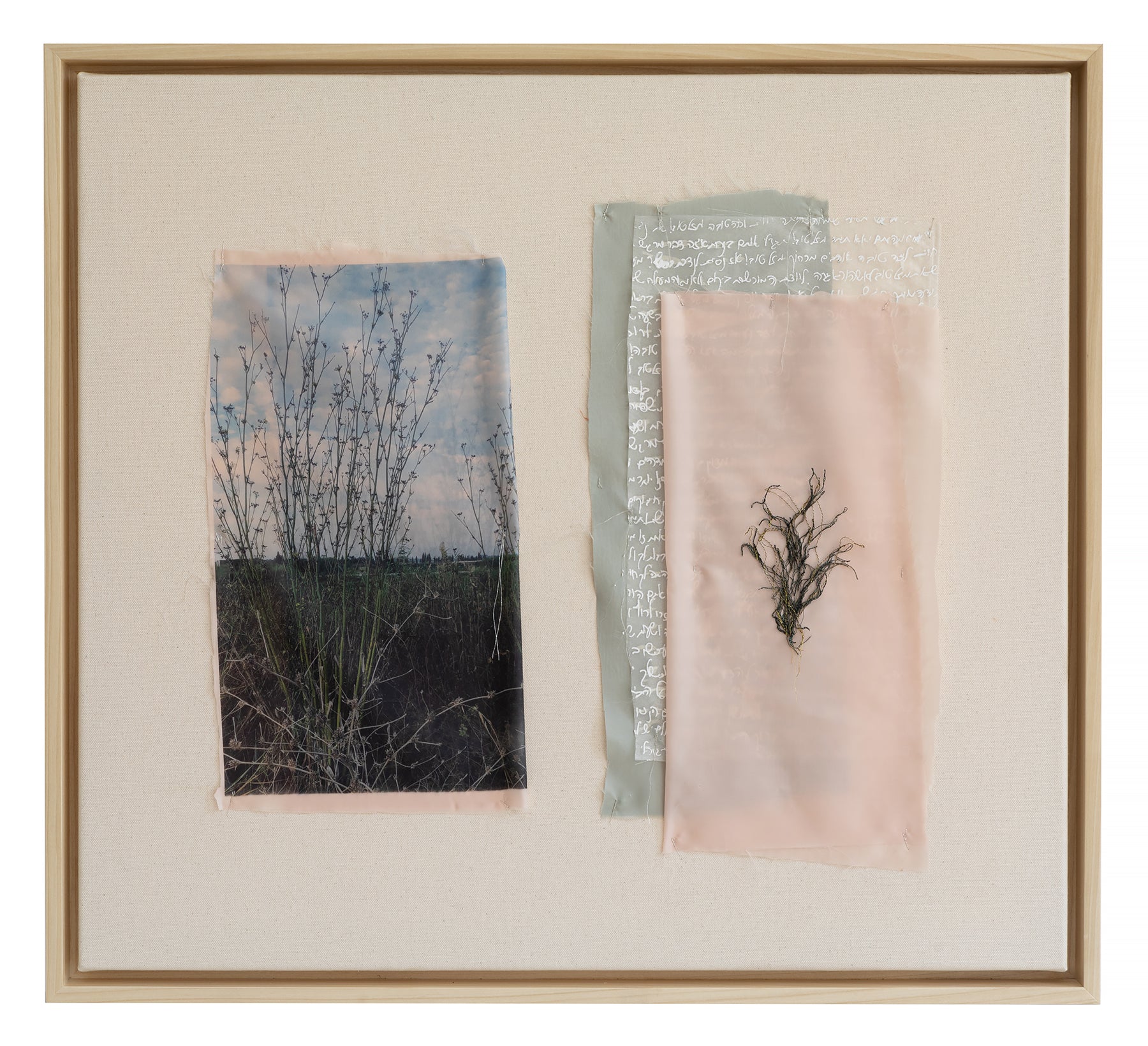 ליד הבית היפה_רגע קפוא 03