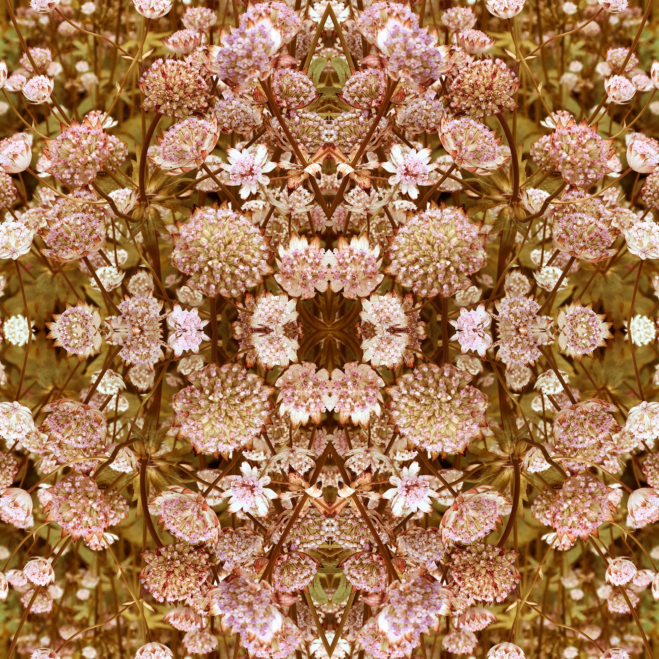 נעים לרחף_הדפס ממוסגר