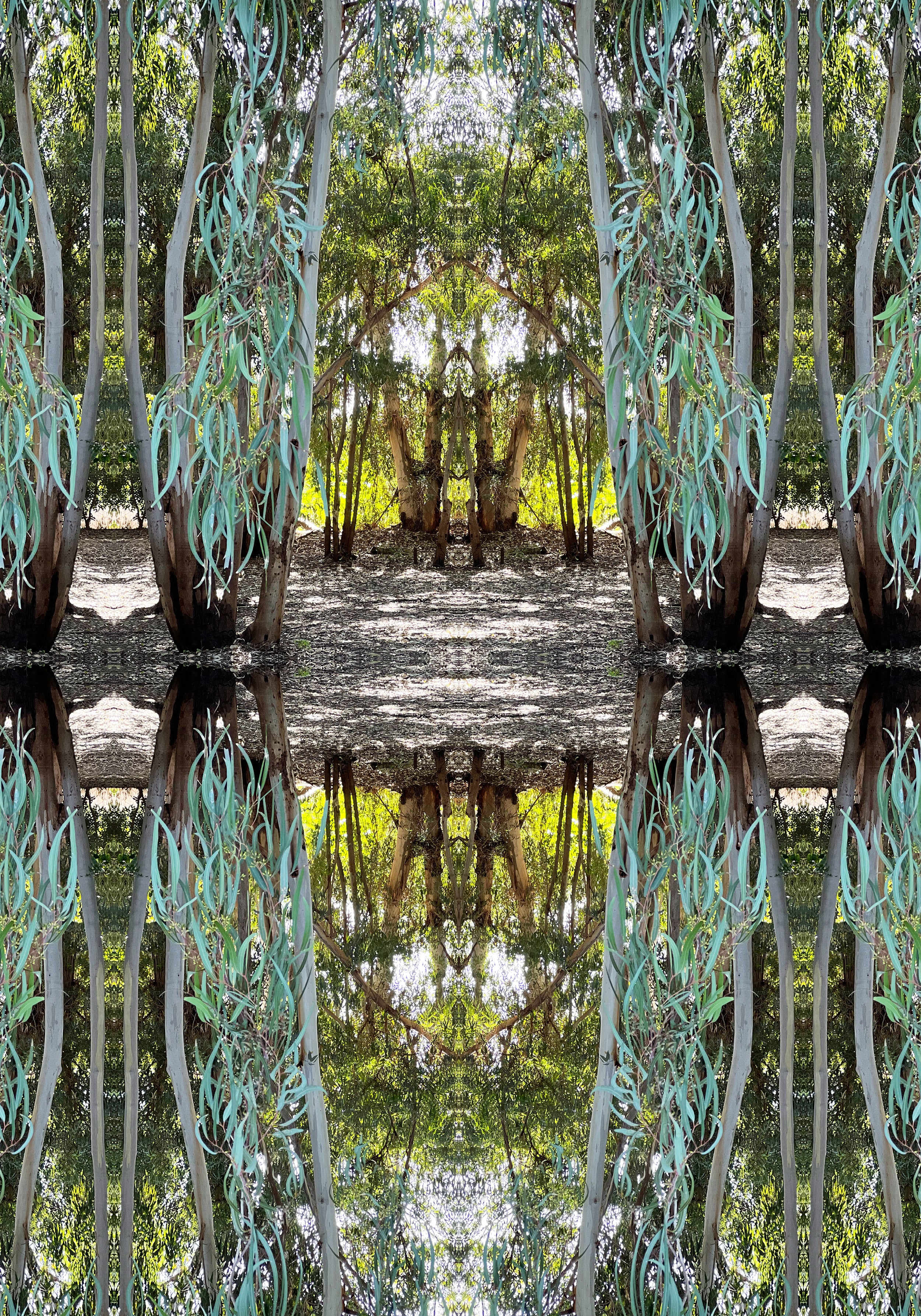 דרזנר - סט הדפסים ממוסגרים