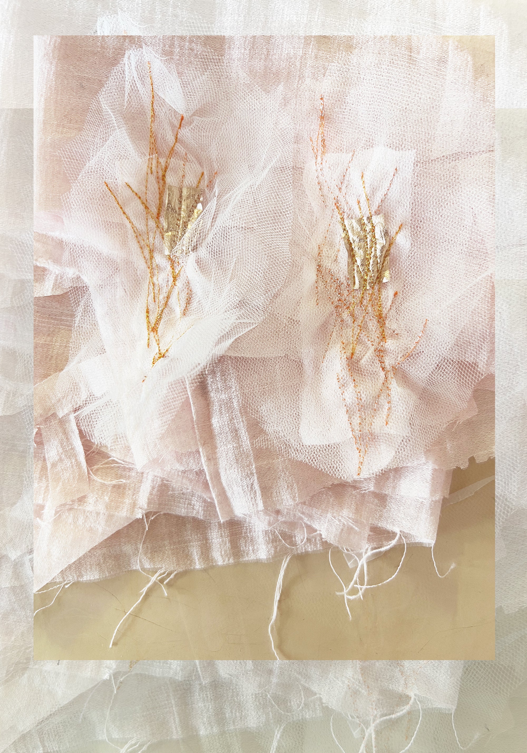 גלויות מבלרינה