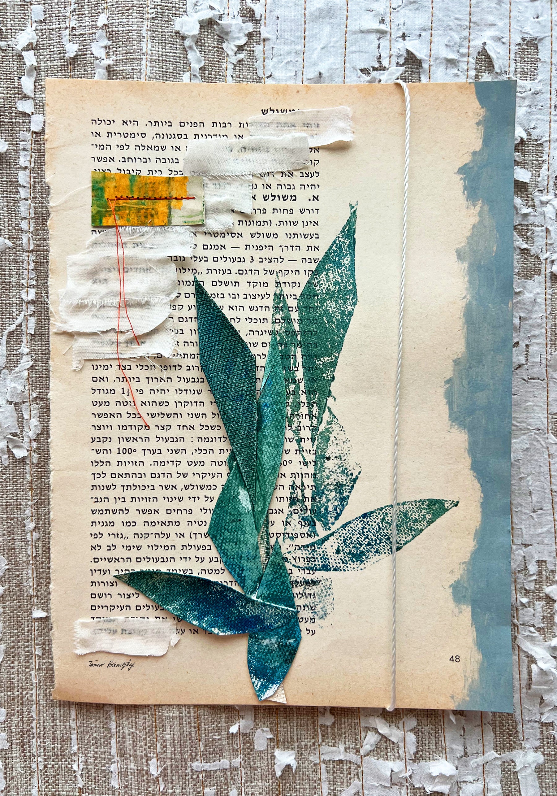 השמש יודעת_ הדפס ממוסגר