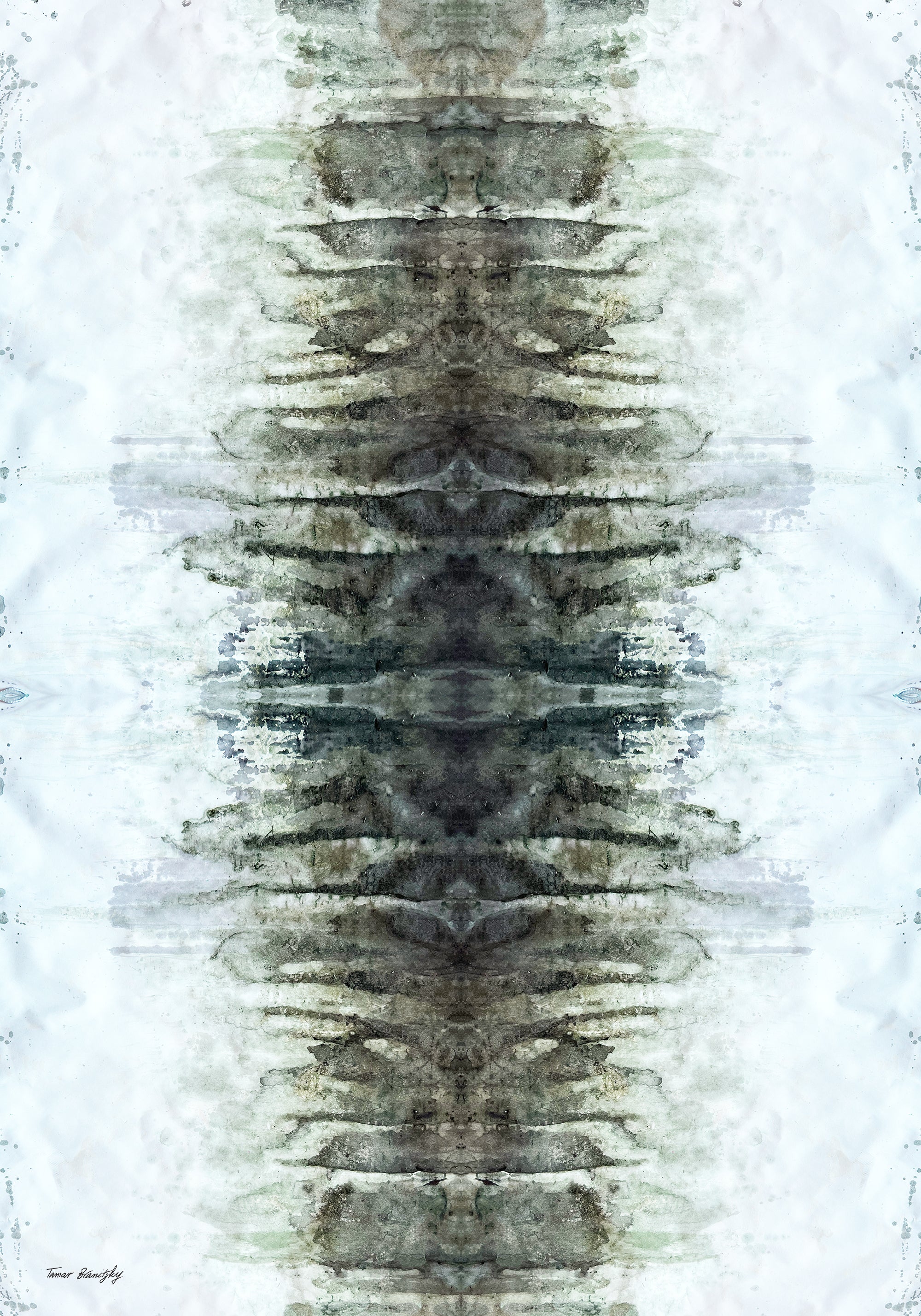 עקבות היער- סט יצירות מודפסות