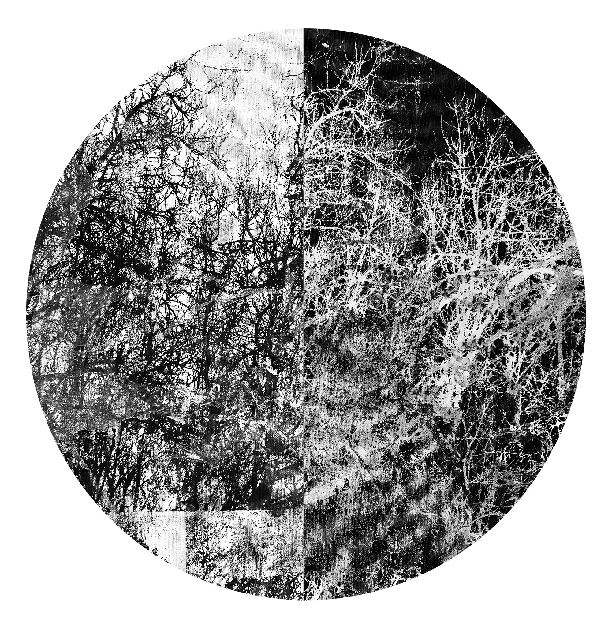 זן יפני מירושלים