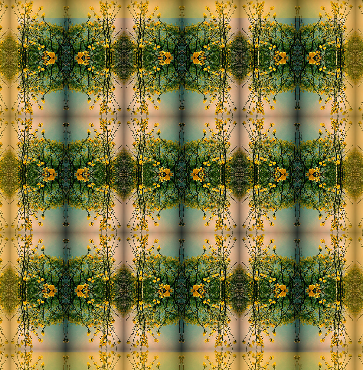 לקרוא את האור - קיר גלריה