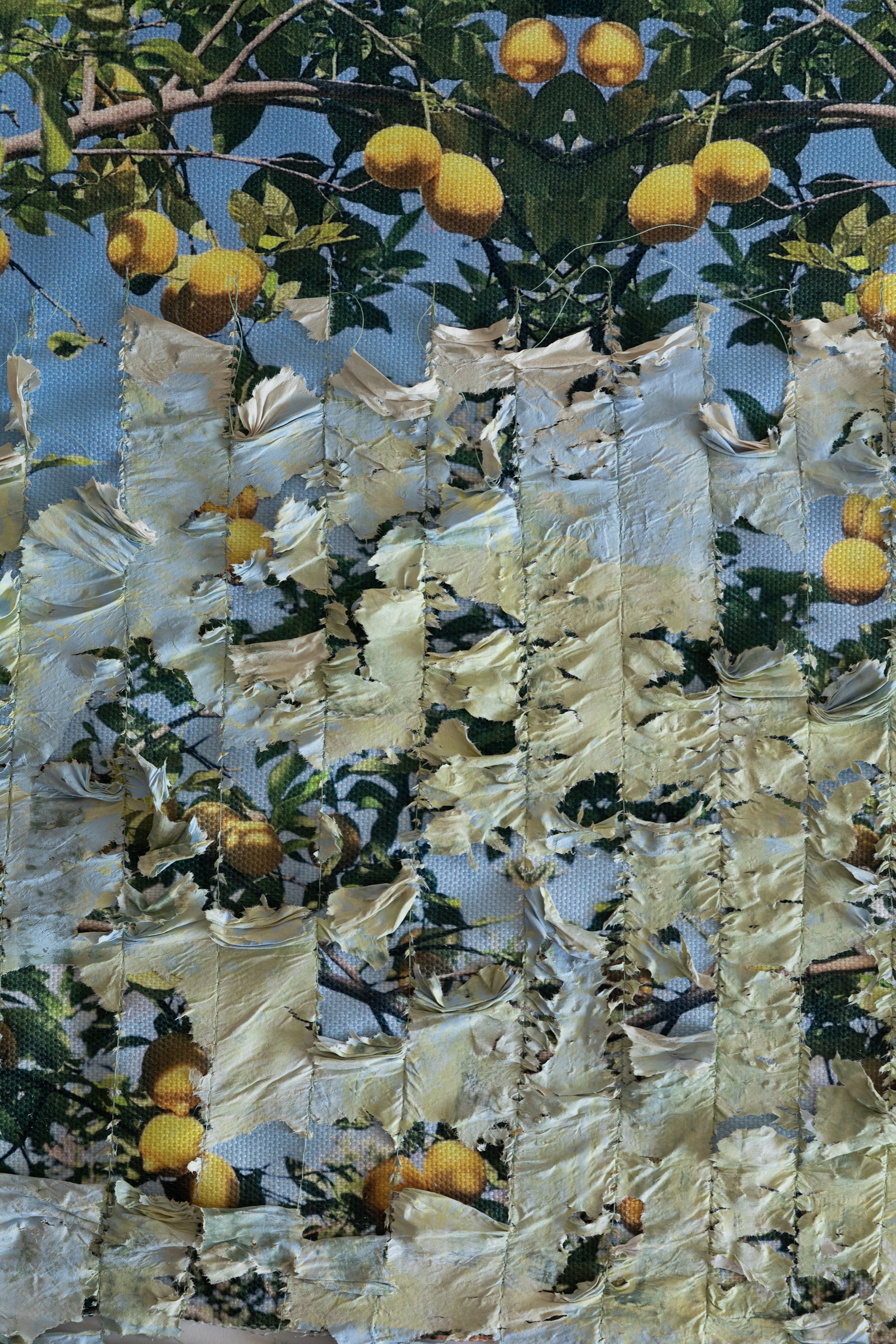 לימונים - יצירת אמנות בנייר