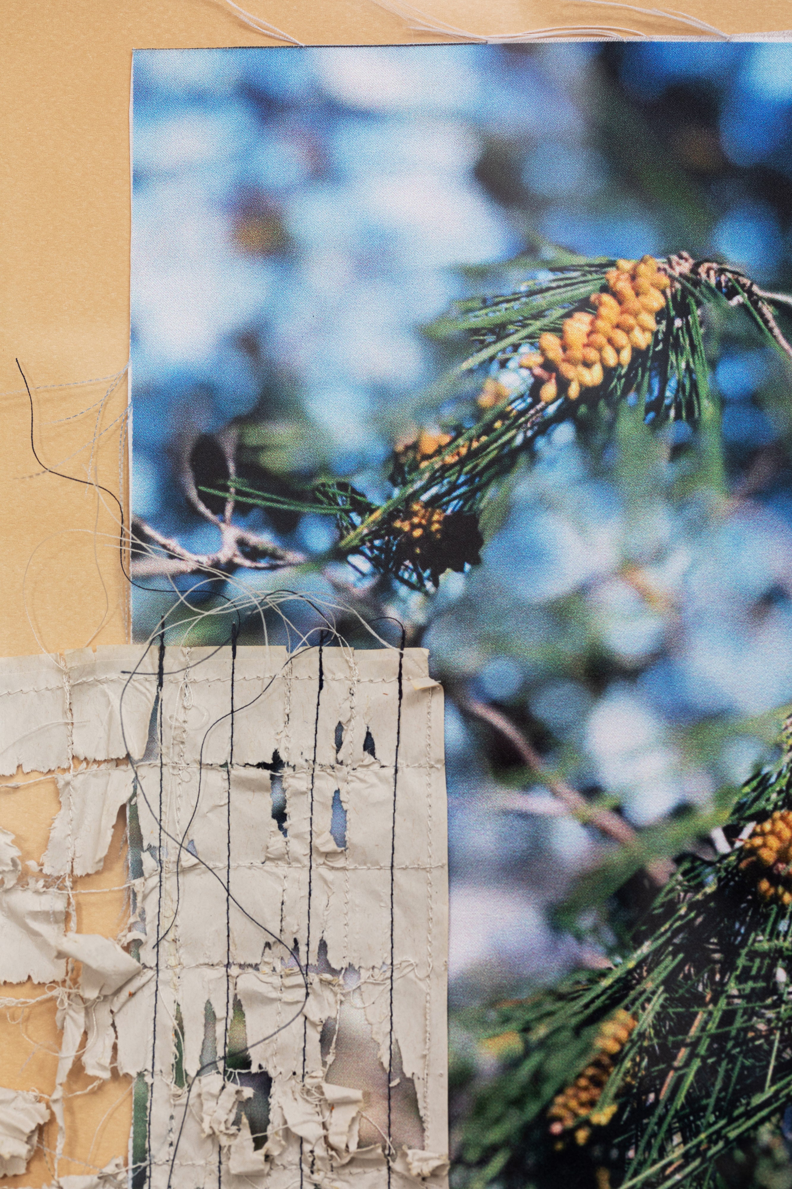 נשימה - טקסטיל ונייר