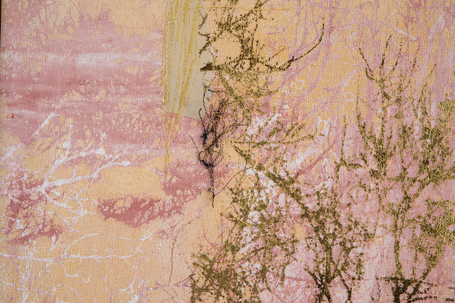 געגוע הביתה_רגע קפוא 01