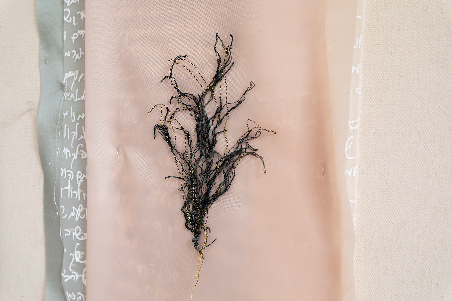 ליד הבית היפה_רגע קפוא 03