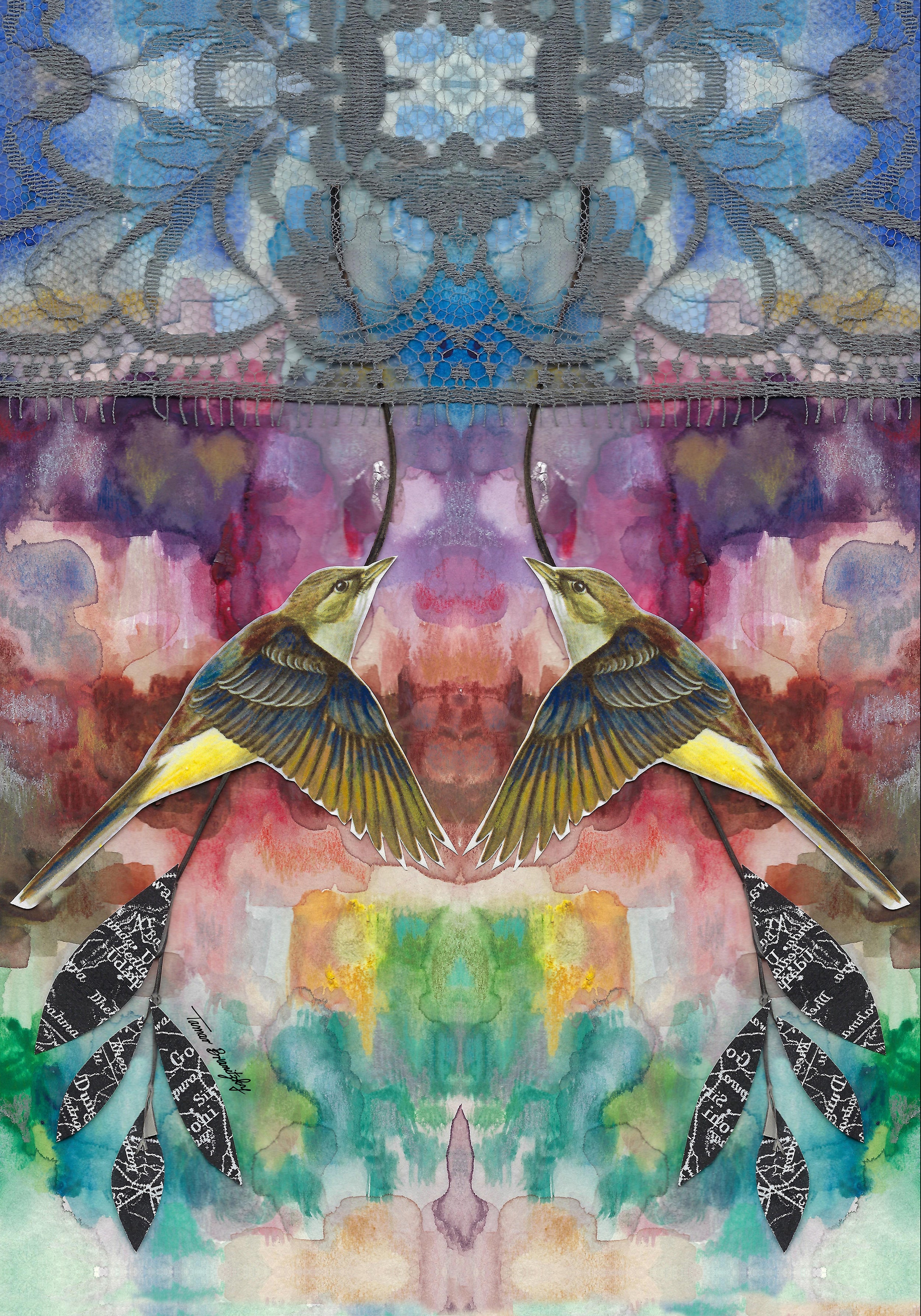 הציפורים החופשיות_ סט יצירות מודפסות