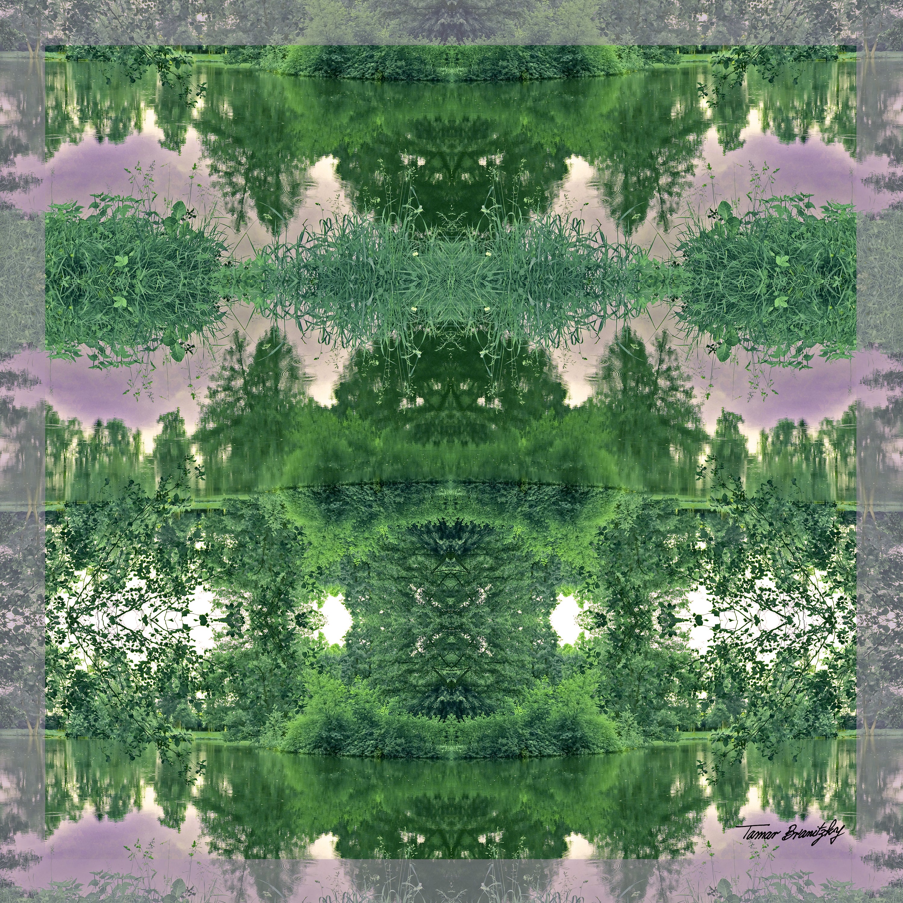 יער באור יום