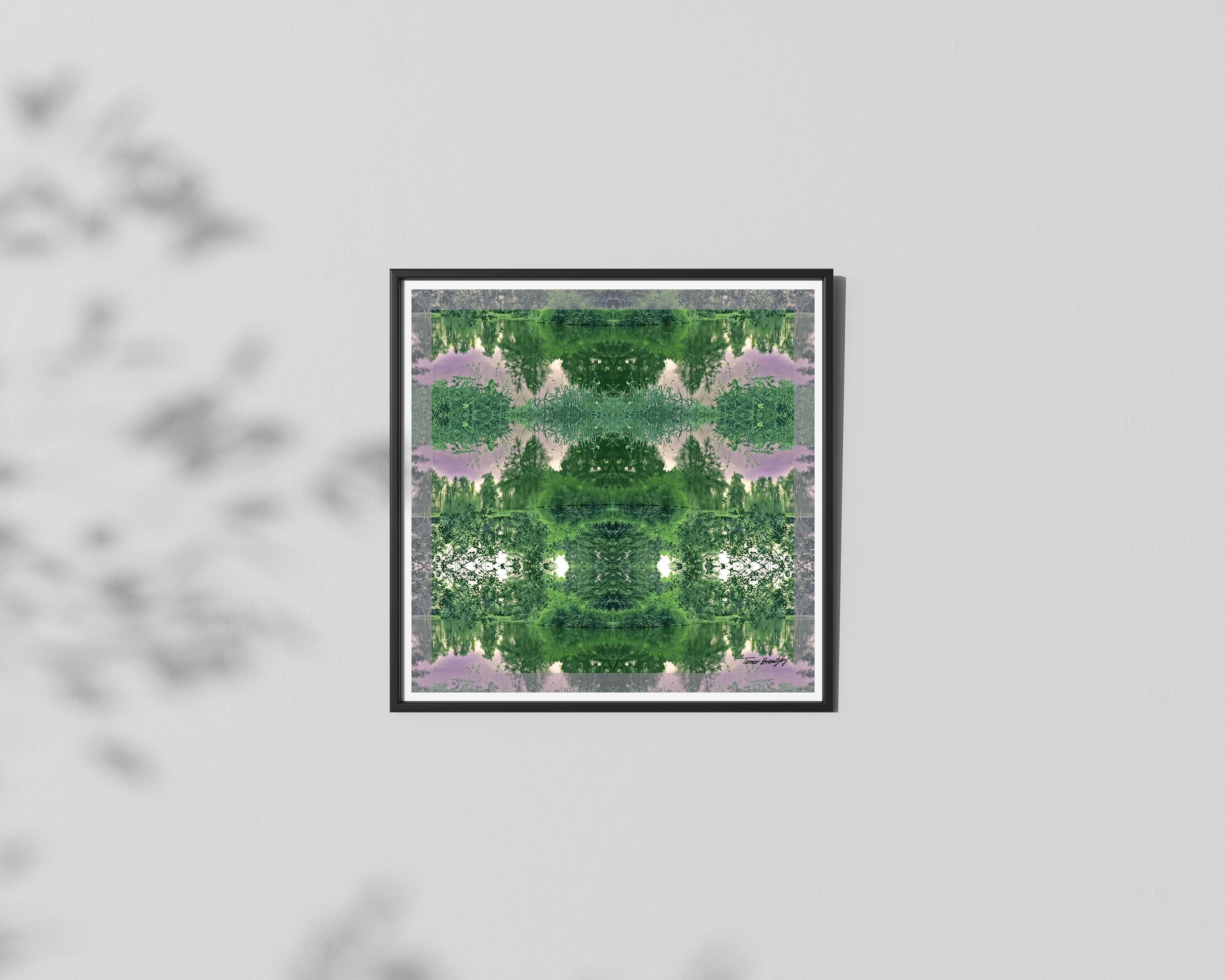 יער באור יום