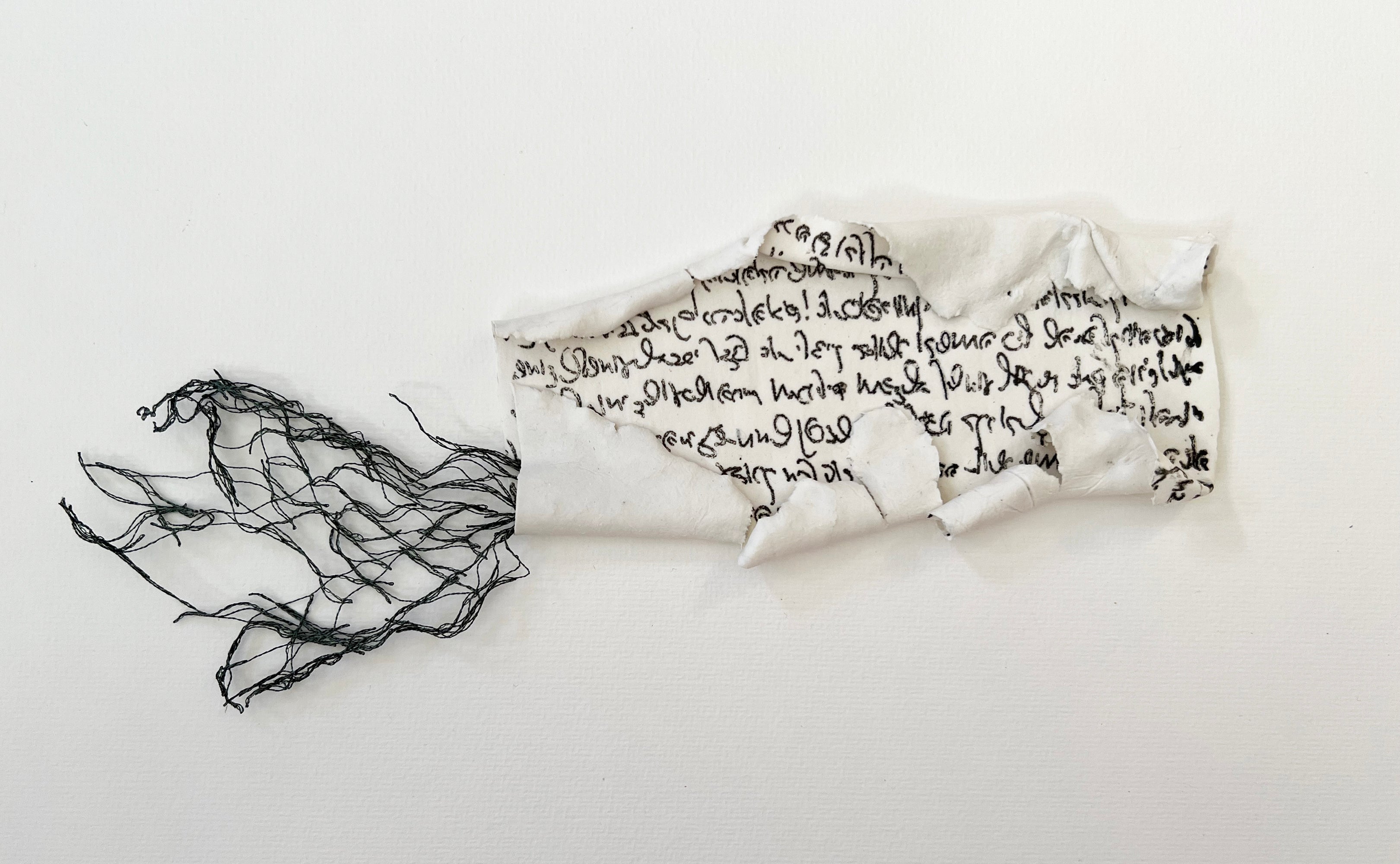 שייכות_פורצלן 02