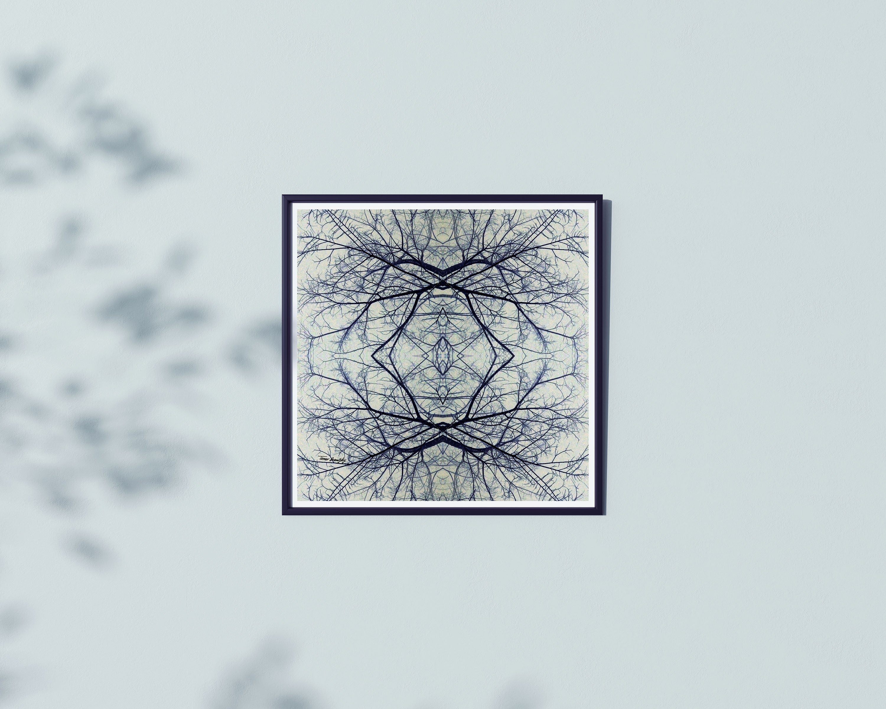 עץ בגווני ג'ינס