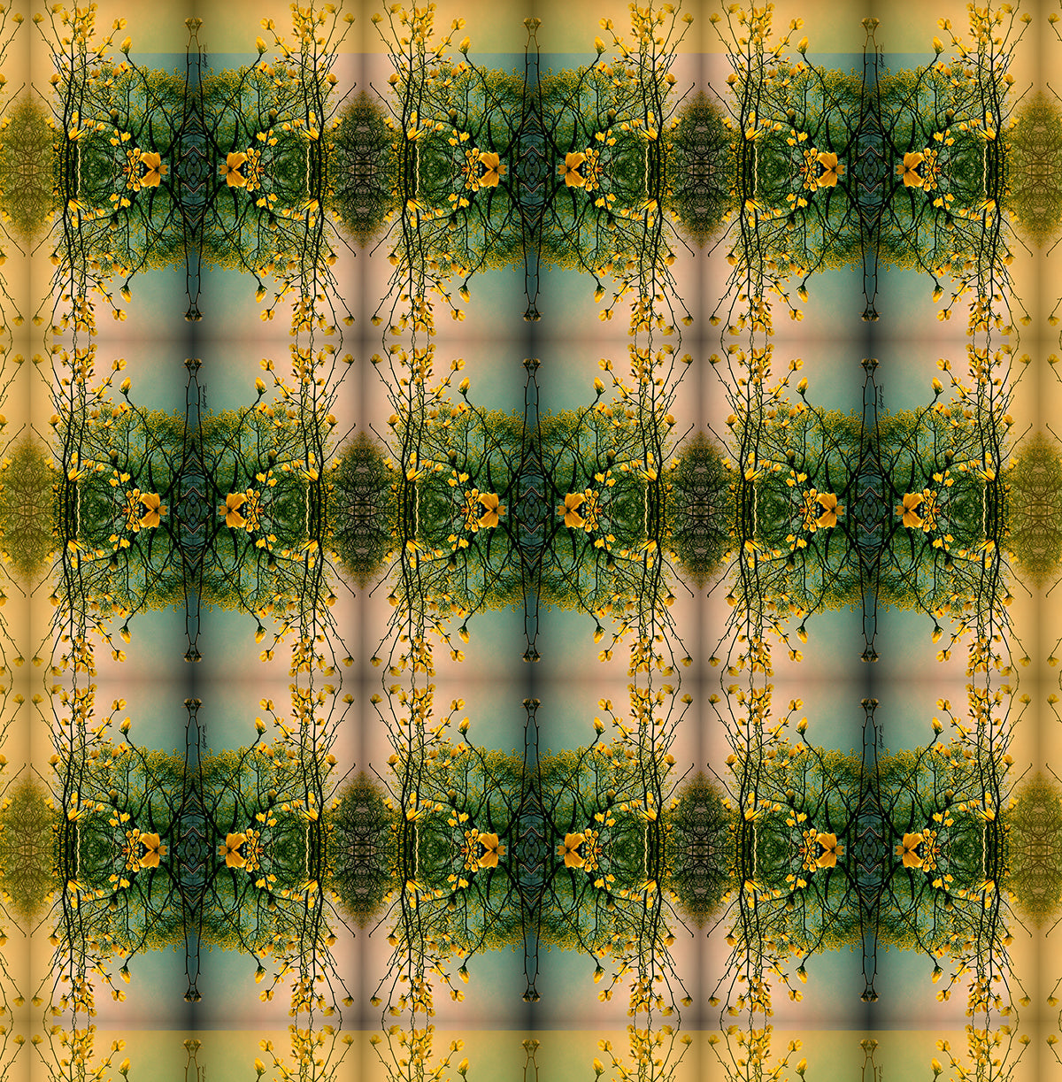 פרחים מהסנטרל פארק_הדפס מטופל