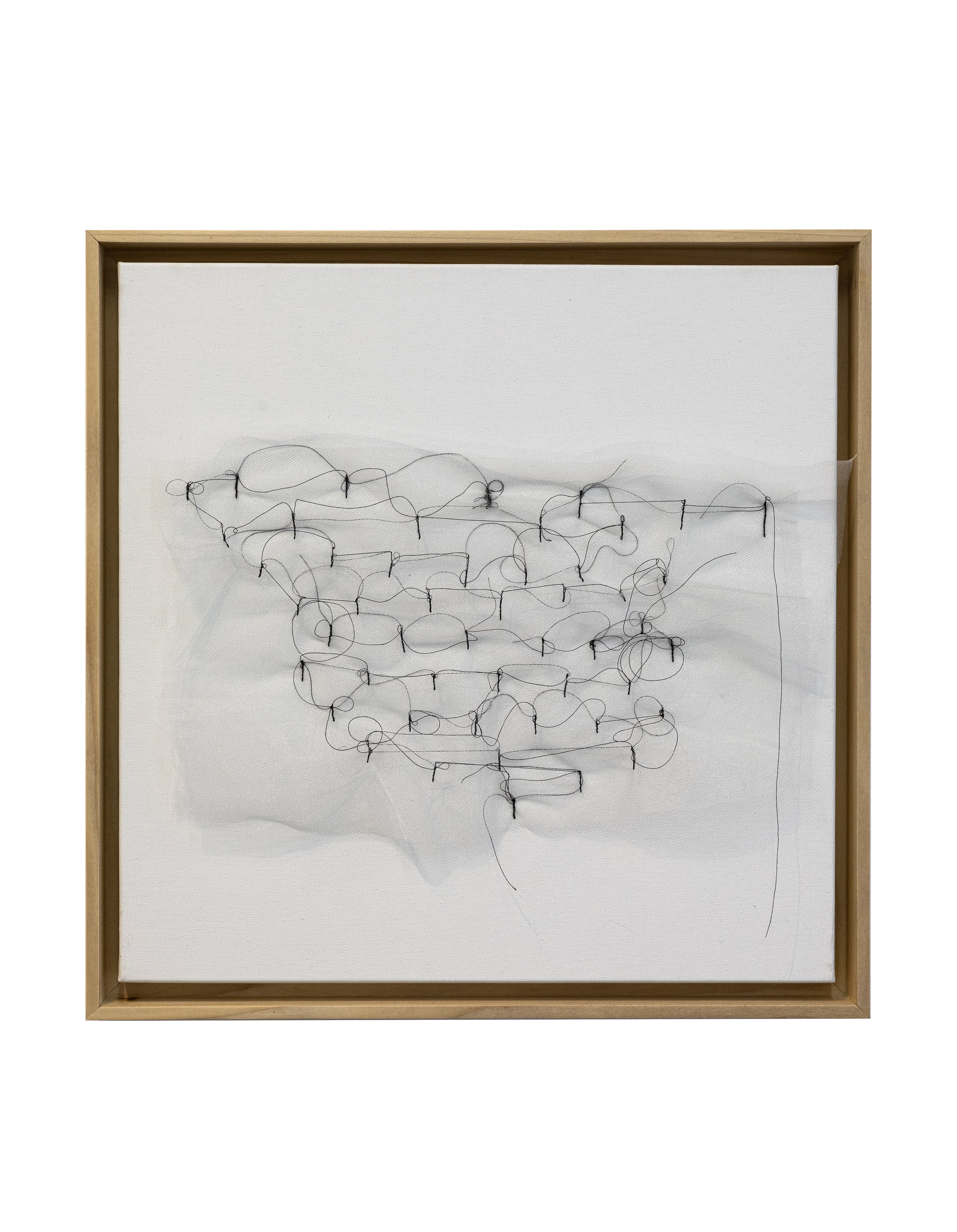 יער לבן - טול