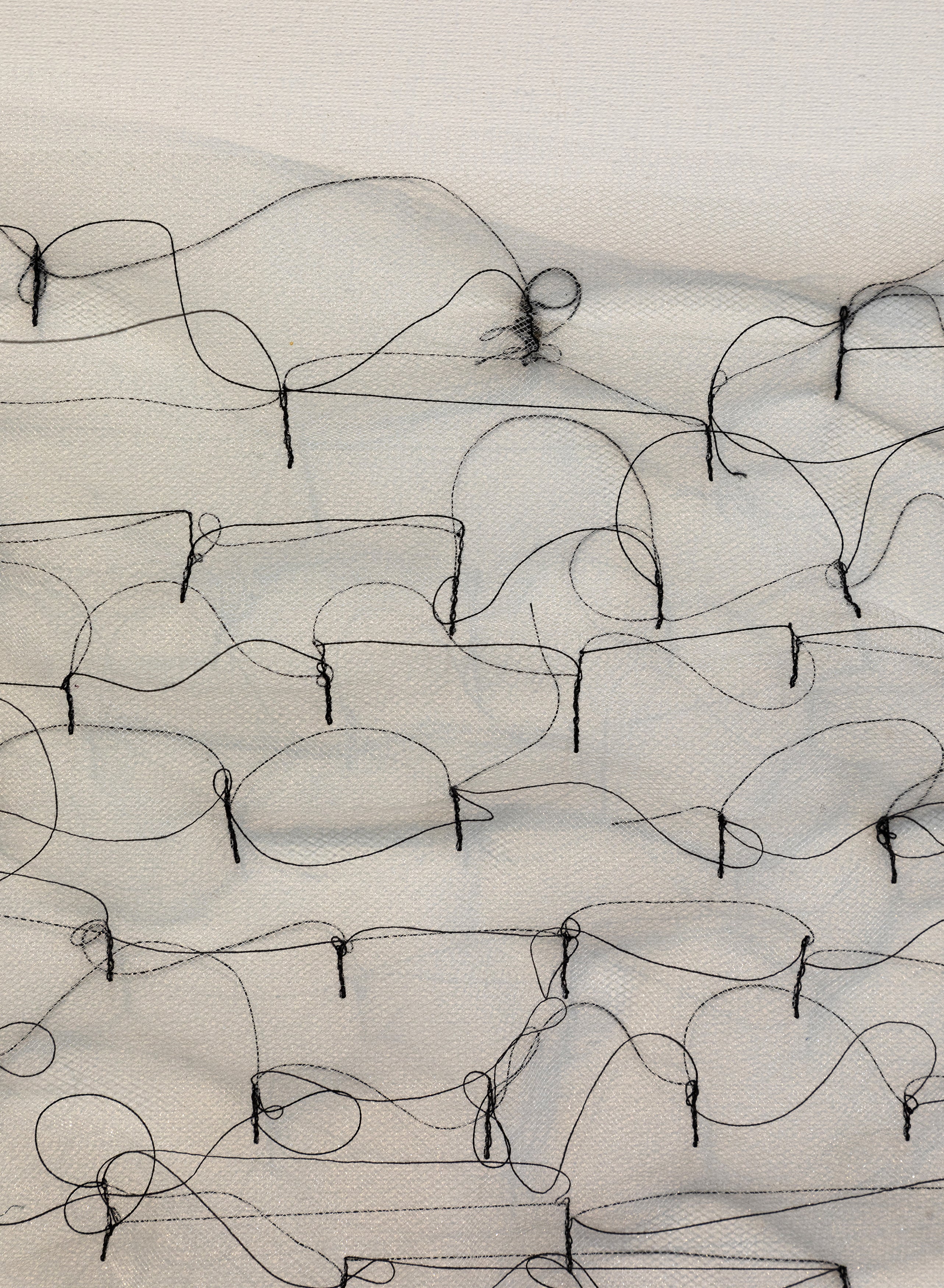 יער לבן - טול