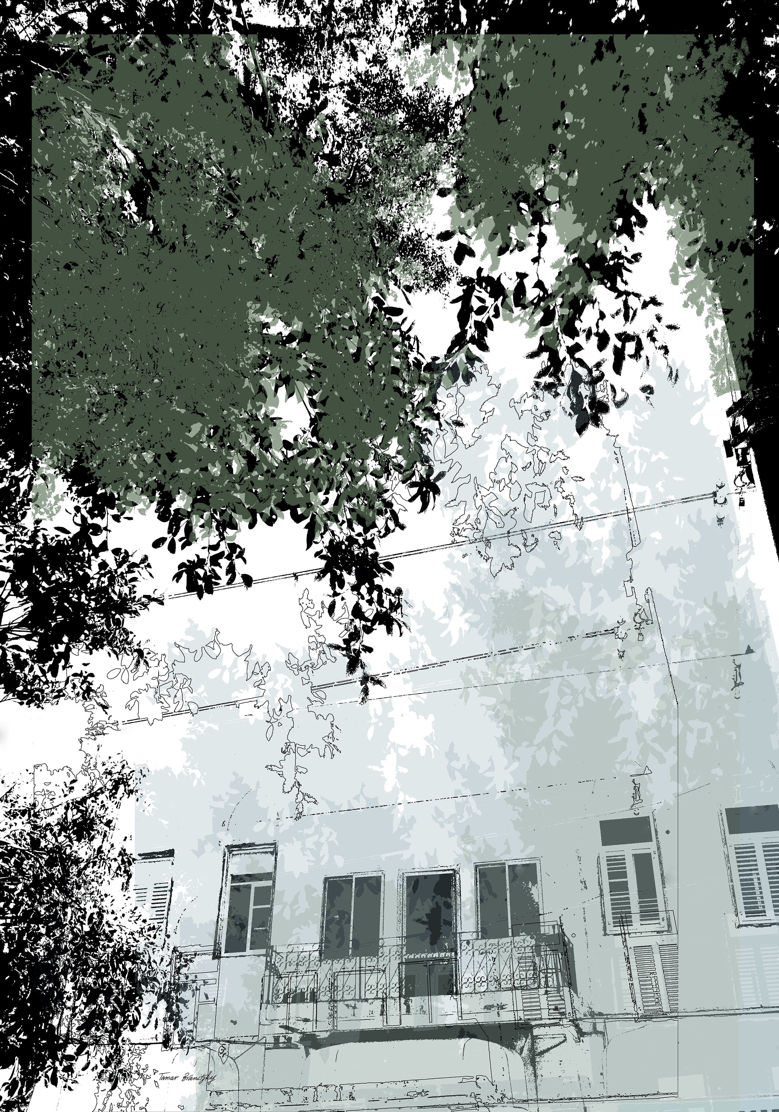 קסם יפואי_סט יצירות מודפסות