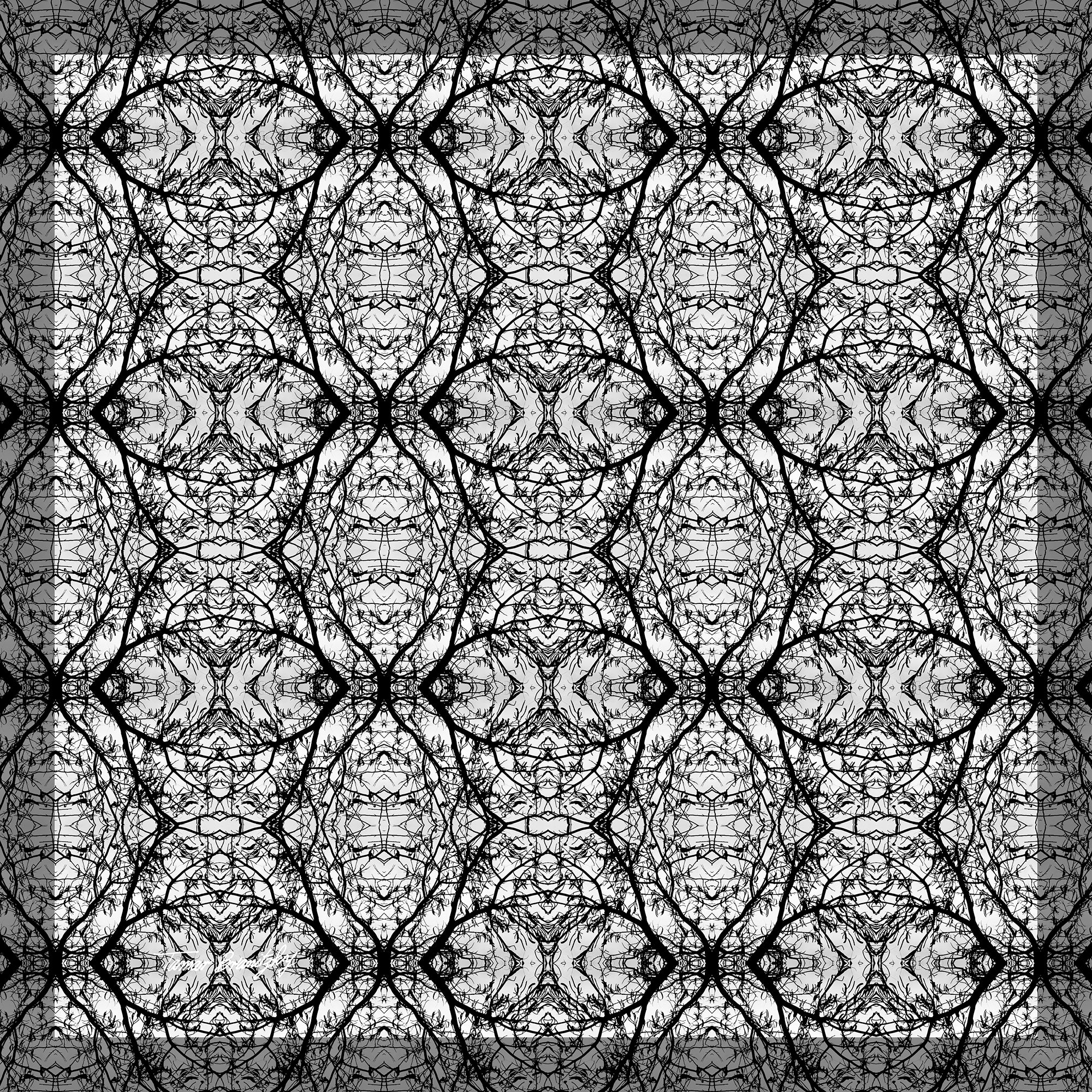 תחרת ענפים יפואית_הדפס