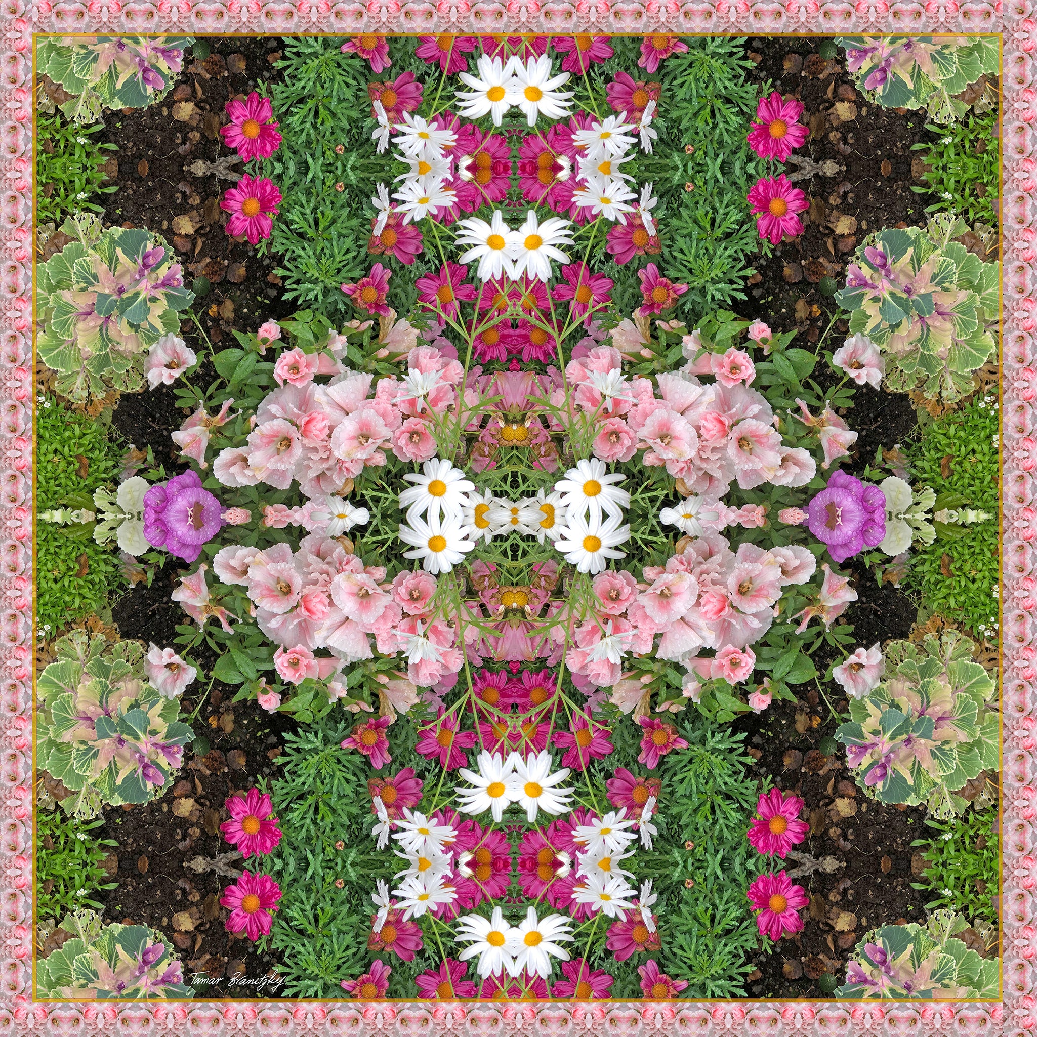 הדברים היפים_הדפס ממוסגר