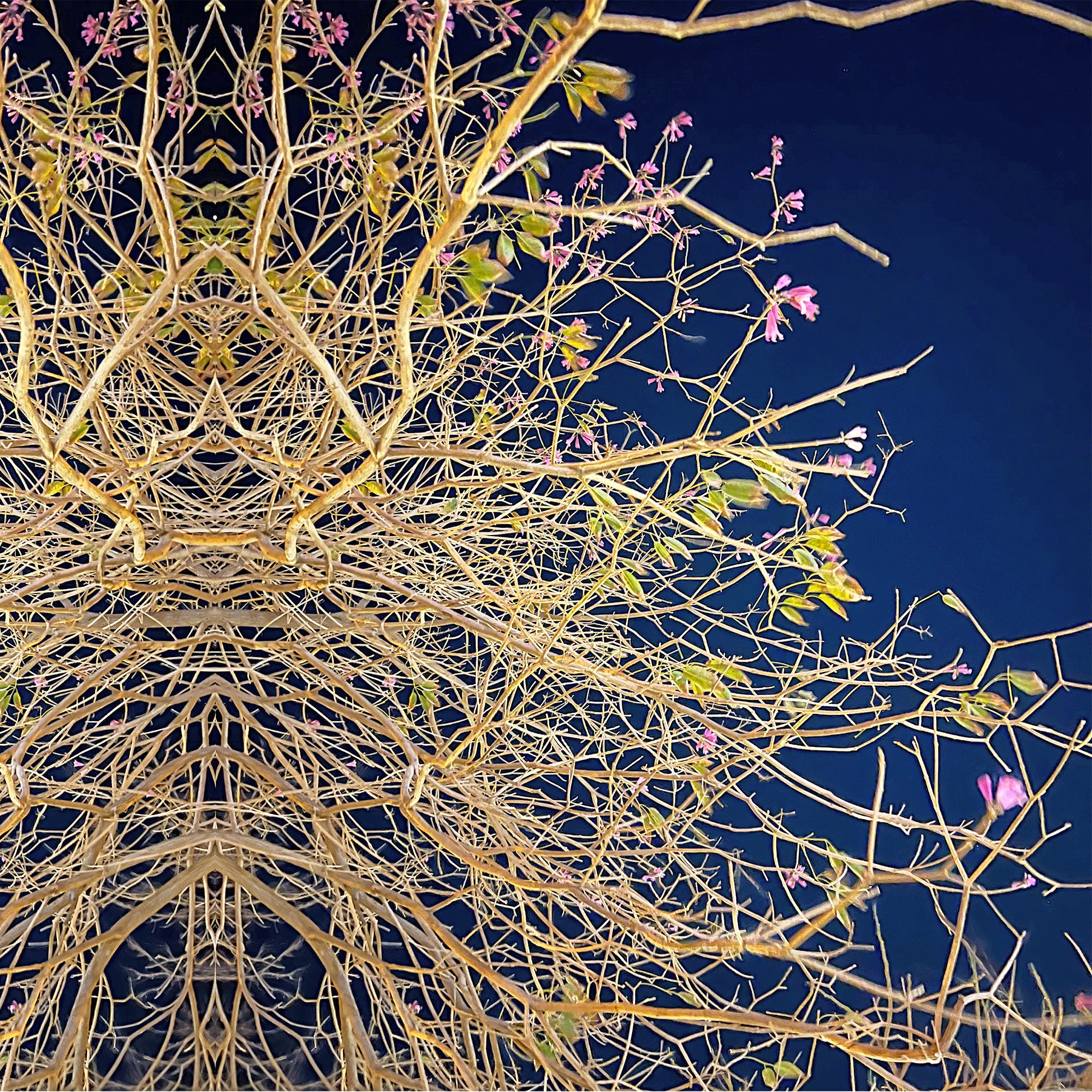 צעדים באוויר 02_הדפס ממוסגר