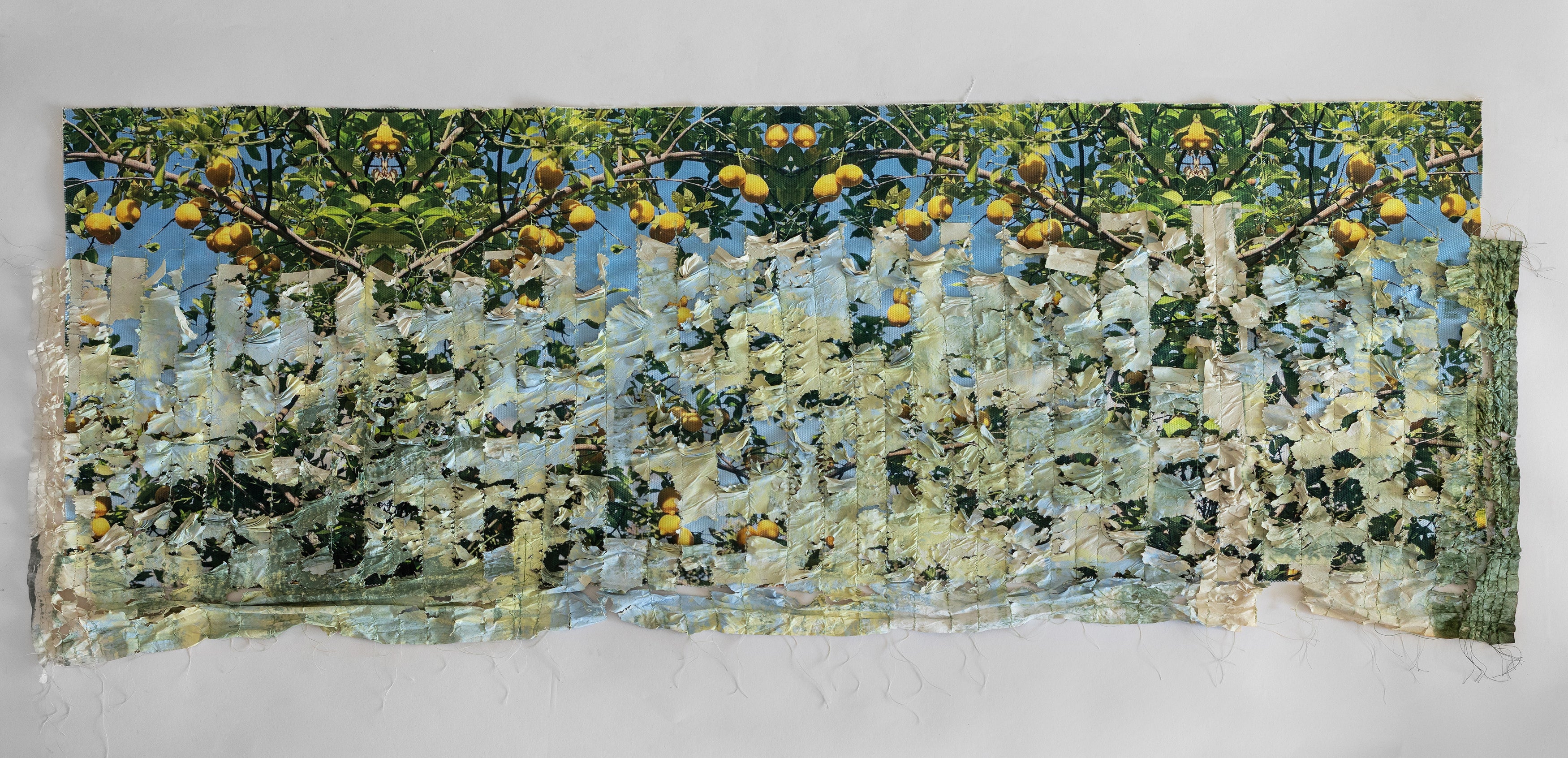 לימונים - יצירת אמנות בנייר