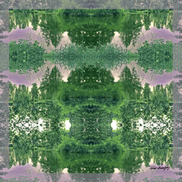 Happy daylight forest print